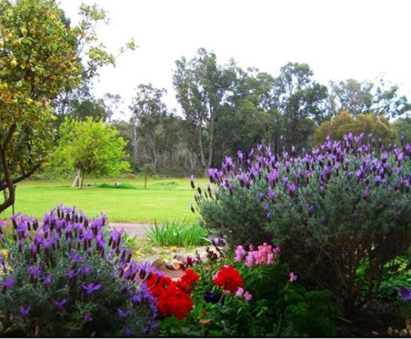 Erravilla Country Estate Spa Suite Accommodation Cowaramup Esterno foto