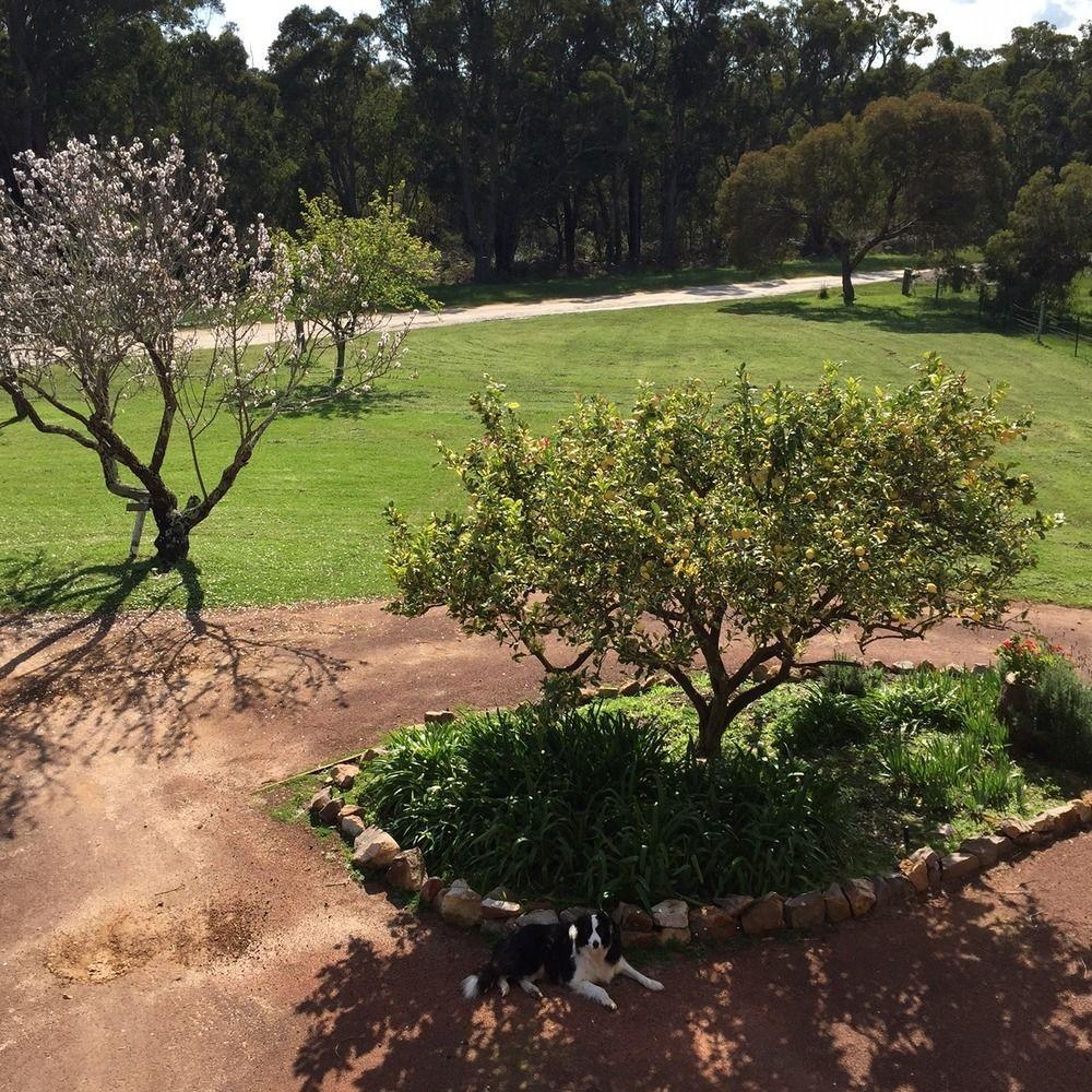 Erravilla Country Estate Spa Suite Accommodation Cowaramup Esterno foto
