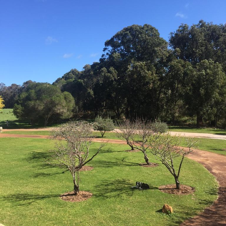 Erravilla Country Estate Spa Suite Accommodation Cowaramup Esterno foto